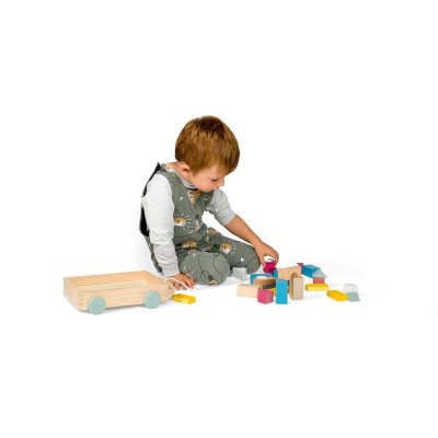 Bigjigs Toys Wagen mit Holzbausteinen