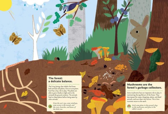 Chronicle Books Książka z naklejkami z aktywnościami Moja natura W lesie