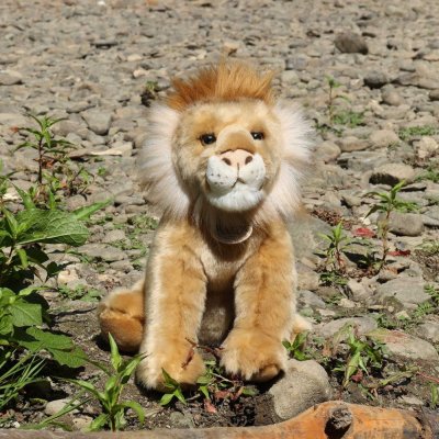 Rappa León de peluche 30 cm ECO-FRIENDLY