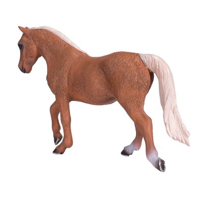 Mojo Cavalo morgan palomino