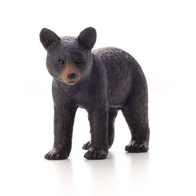Mojo Schwarzbär Jungtier