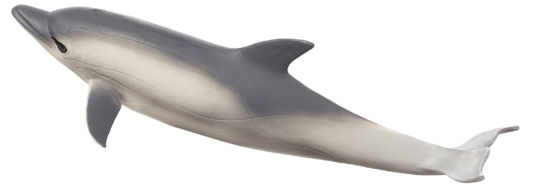 Mojo Delfin