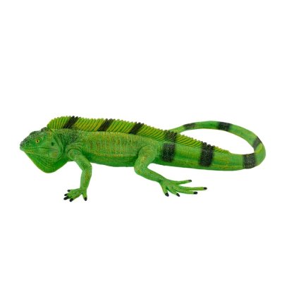 Mojo Iguana