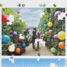 Galison Doppelseitiges Puzzle Im Park Gray Malin 500 Teile