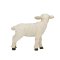 Mojo Hampshire Lamm stehend