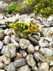 Mojo Chameleon