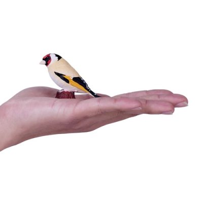 Mojo Stehlík pestrý v krabičke