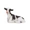 Mojo Holstein Kalv som ligger