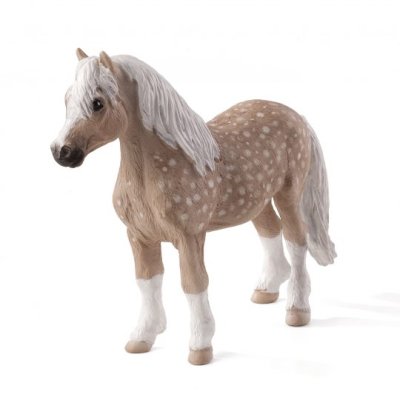 Mojo Poney Welsh