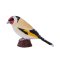 Mojo Goldfinch