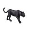 Mojo Schwarzer Panther