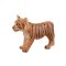 Mojo Bengal Tiger Junges stehend