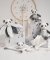 Doudou Regalo - Panda de peluche con manta 28 cm