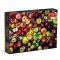 Galison Puzzle Apfelsorten 1000 Teile
