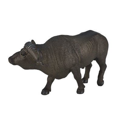Mojo Afrikanischer Büffel