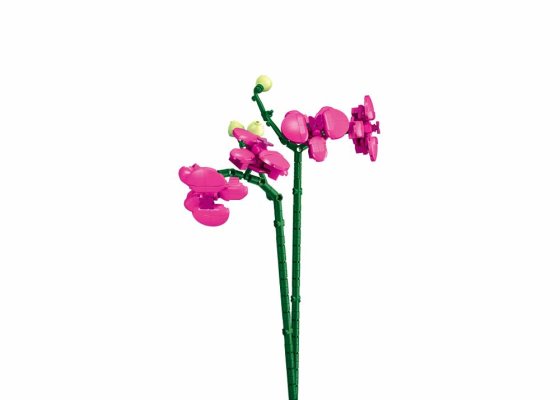 Sluban Flowers M38-B1101-12 Orchid in a vase