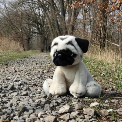 Rappa Plyschhund mops 30 cm ECO-FRIENDLY