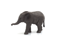 Mojo Elefante africano cucciolo