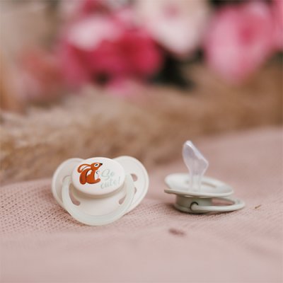 BABYONO Silikon-Schnuller anatomisch 6-18m, 2 Stk.
