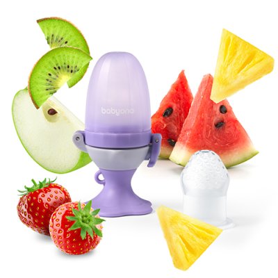 BABYONO Silikon-Schnuller zum Füttern von Flower Violet 6m+