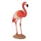 Mojo Flamingo Caraibean