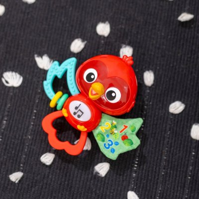 BABY EINSTEIN Musikalisches sensorisches Spielzeug Roxy's Bright Flight™ 3m+