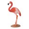 Mojo Flamingo Caraibean