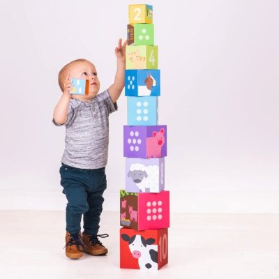 Bigjigs Toys Didaktische Würfel Bauernhof