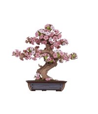 RoboTime Drewniane puzzle 3D Bonsai sakura