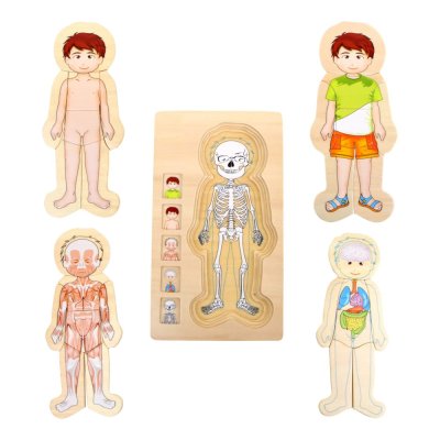 small foot Drewniane puzzle anatomiczne Tim