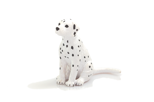 Mojo Dalmata kölyök