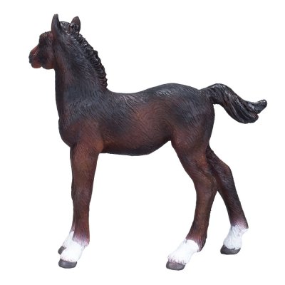 Mojo Hanoverian Foal Bay