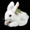 Rappa Plyschkanin vit 18 cm ECO-FRIENDLY