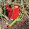 Bigjigs Toys Emmer Rood