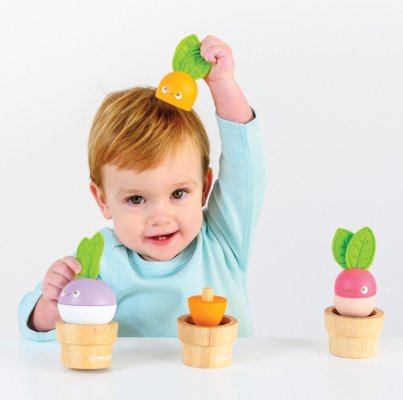 Le Toy Van Gemüsegarten-Set