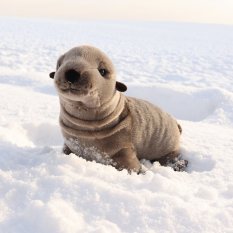 Rappa Pluszowy uchatka 30 cm ECO-FRIENDLY