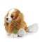 Rappa Câine de pluș Cavalier King Charles Spaniel 28 cm ECO-FRIENDLY