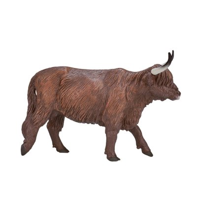 Mojo Touro Highland Escocês