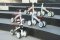 QPLAY Laufrad Cutey Black, Alter 1-3 Jahre