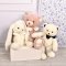 Doudou Histoire d'Ours Plush Teddy Bear with Dark Blue Bow Tie 30 cm