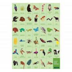 Mudpuppy Puzzle Poszukiwania w lesie deszczowym