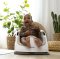 INGENUITY Sitzerhöhung 2-in-1 Baby Base Cashmere 6m+ bis 22 kg