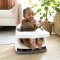 INGENUITY Sitzerhöhung 2-in-1 Baby Base Cashmere 6m+ bis 22 kg