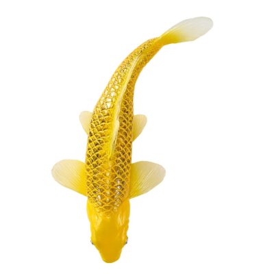 Mojo Carpa koi kin matsuba