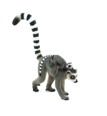 Mojo Lemur kata s mláďaťom