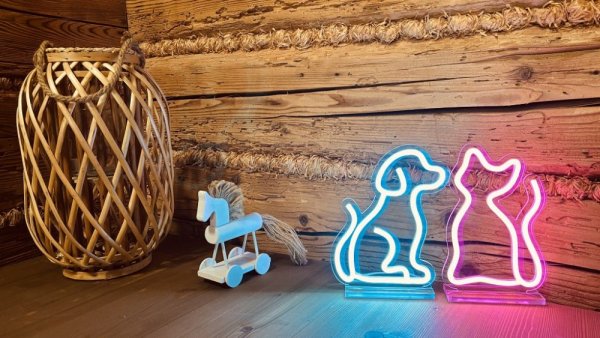 2Kids Toys LED NEON LIGHT lampa Katt