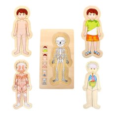 small foot Drewniane puzzle anatomiczne Tim