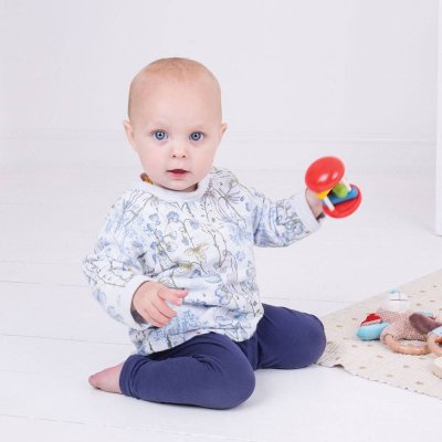 Bigjigs Baby Rammelaar regenboogrol