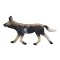Mojo Cão hiena