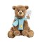Rainbow Wir gehen auf Bärenjagd Teddybär